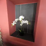 Domaine Du Marais Corps De Ferme Et Piscine Saint-Sigismond (Vendee)