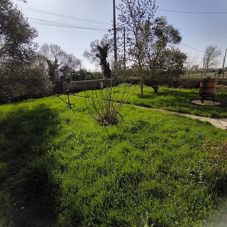 Domaine Du Marais Corps De Ferme Et Piscine