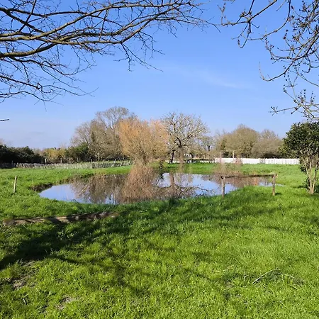 Domaine Du Marais Corps De Ferme Et Piscine Dom wakacyjny
